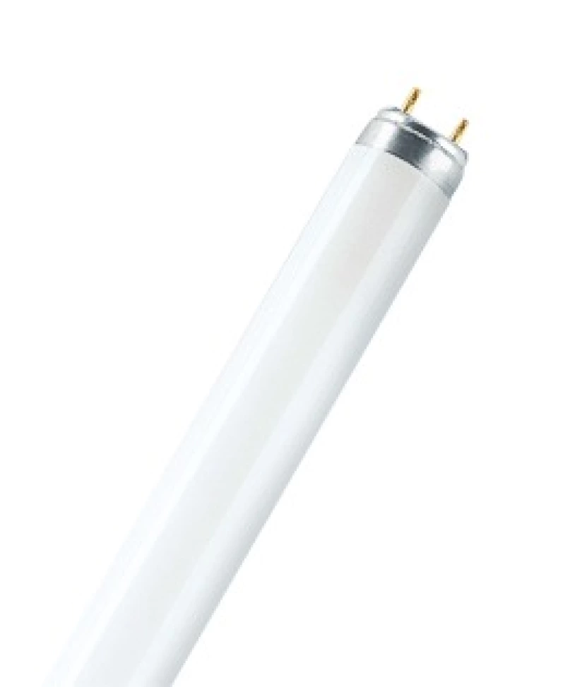 Osram   LUMILUX T8 L 36W/840