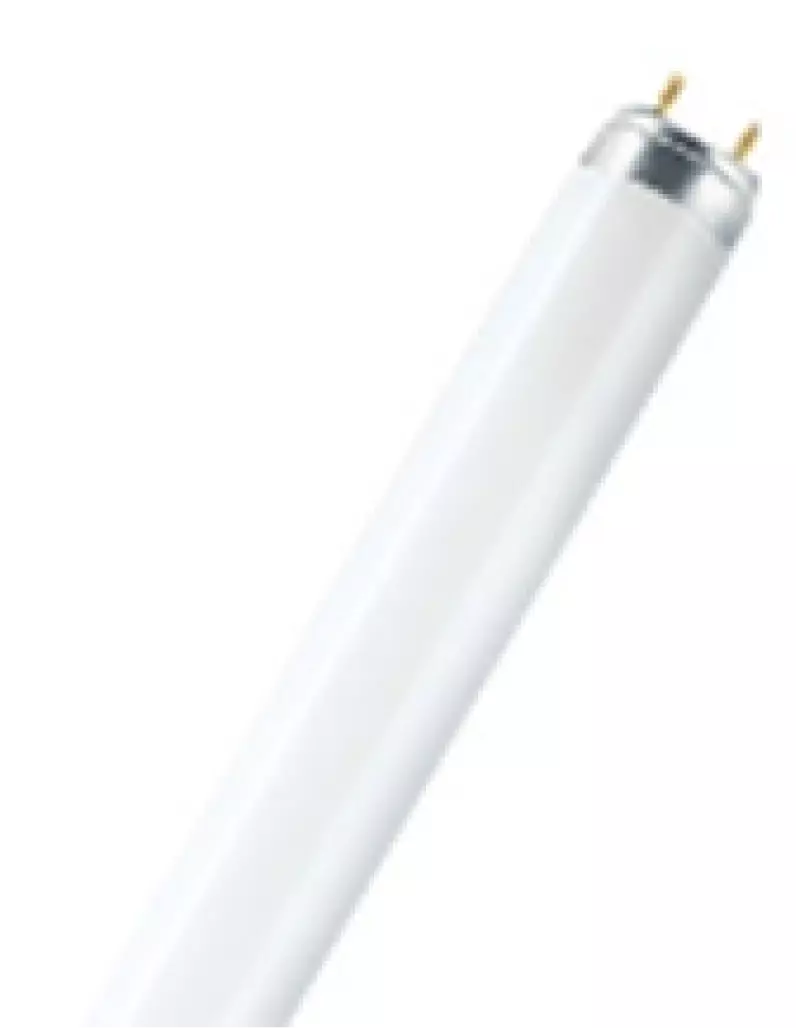 Osram   L 30W/840 LUMILUX G13 4000