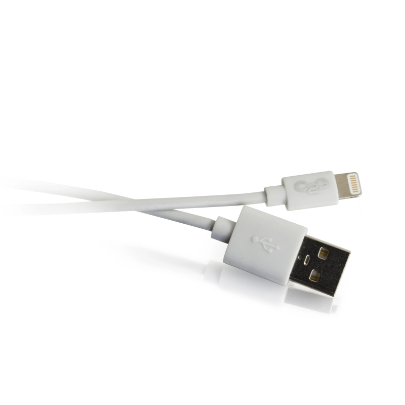  USB A  - Lightning  1